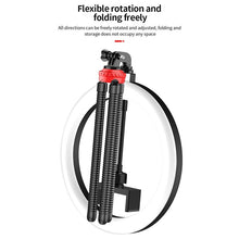 Lade das Bild in den Galerie-Viewer, RINGLICHT OCTOPUS